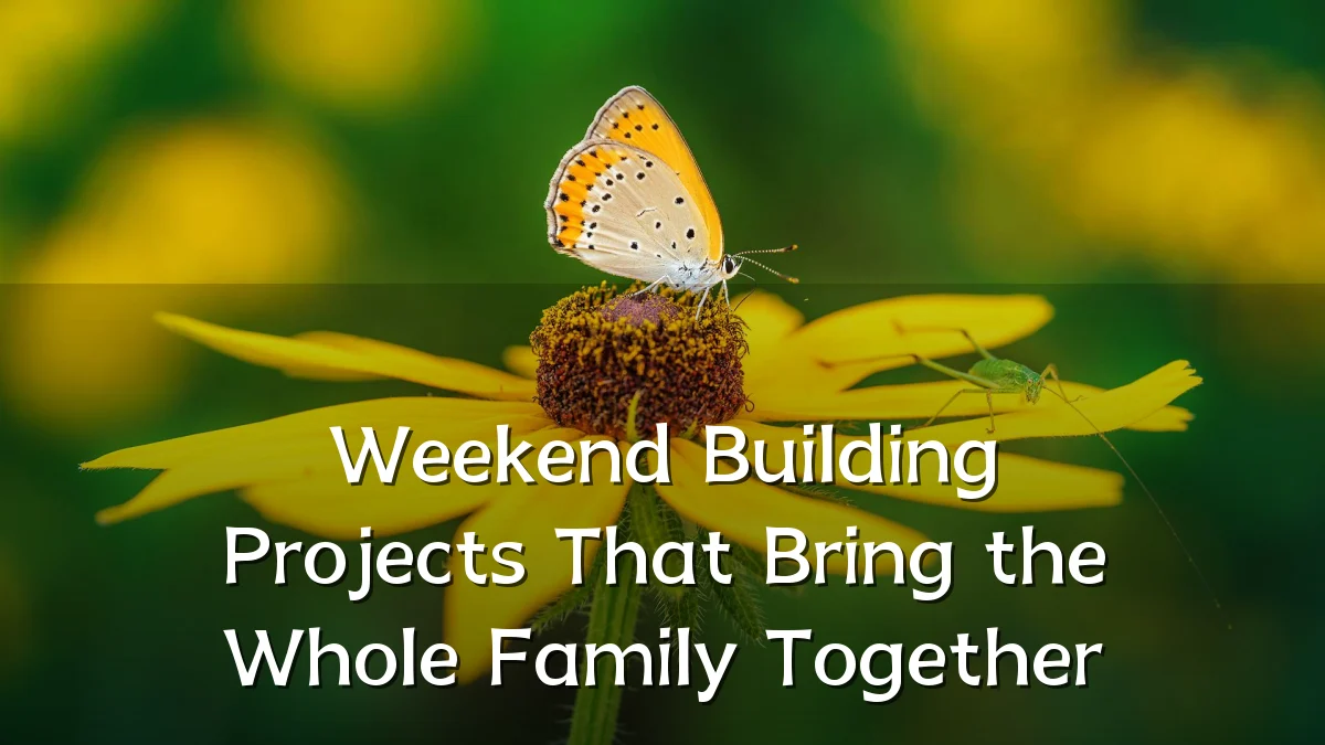 Weekend Building Projects That Bring the Whole Family Together