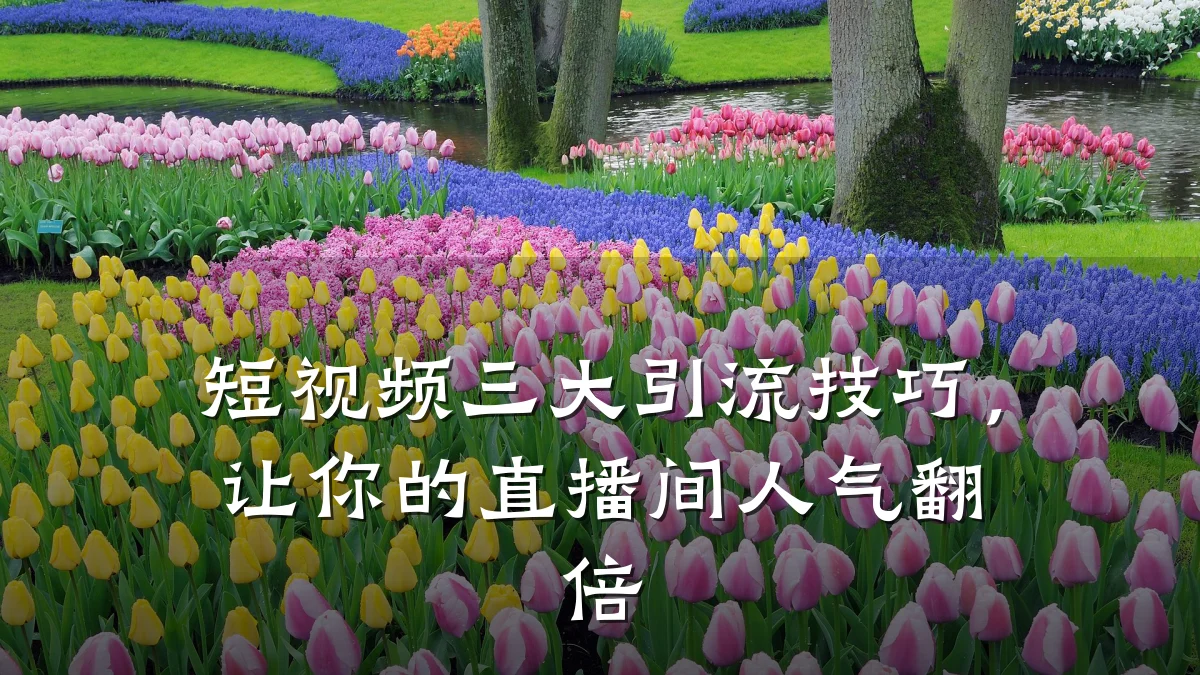 短视频三大引流技巧,让你的直播间人气翻倍