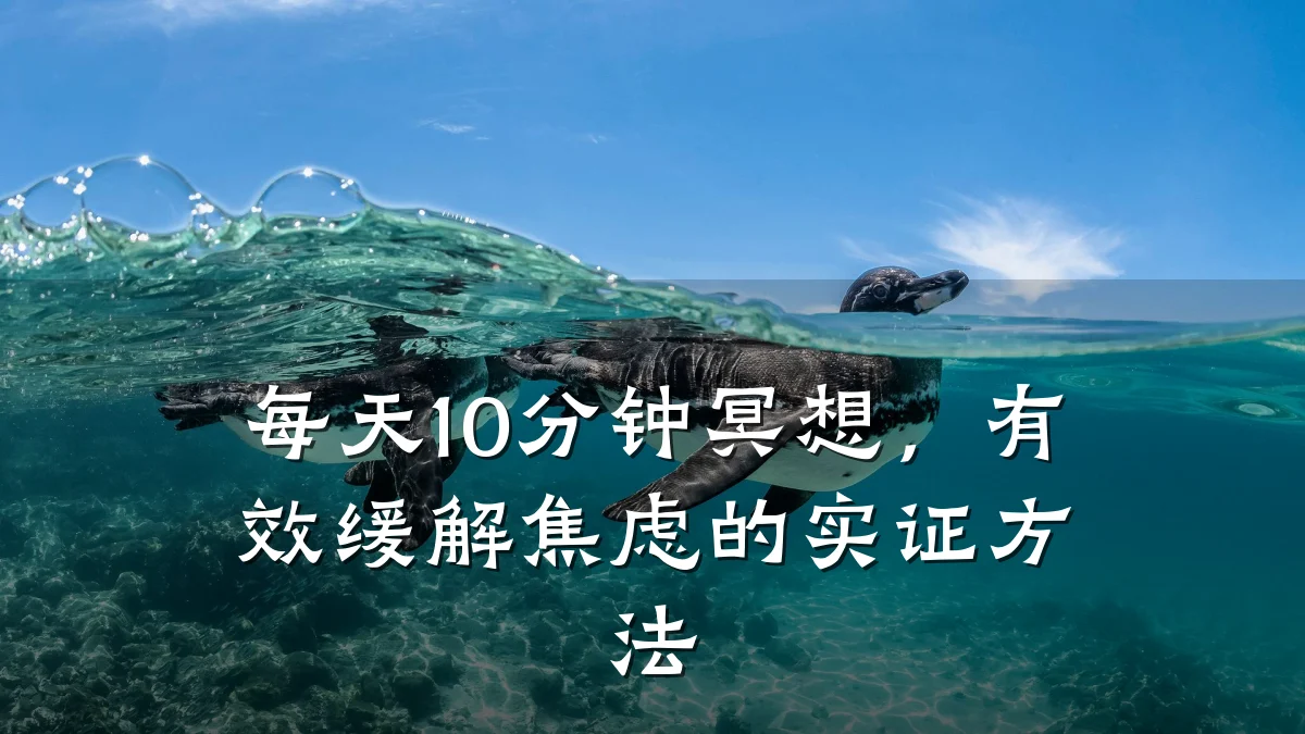 每天10分钟冥想，有效缓解焦虑的实证方法