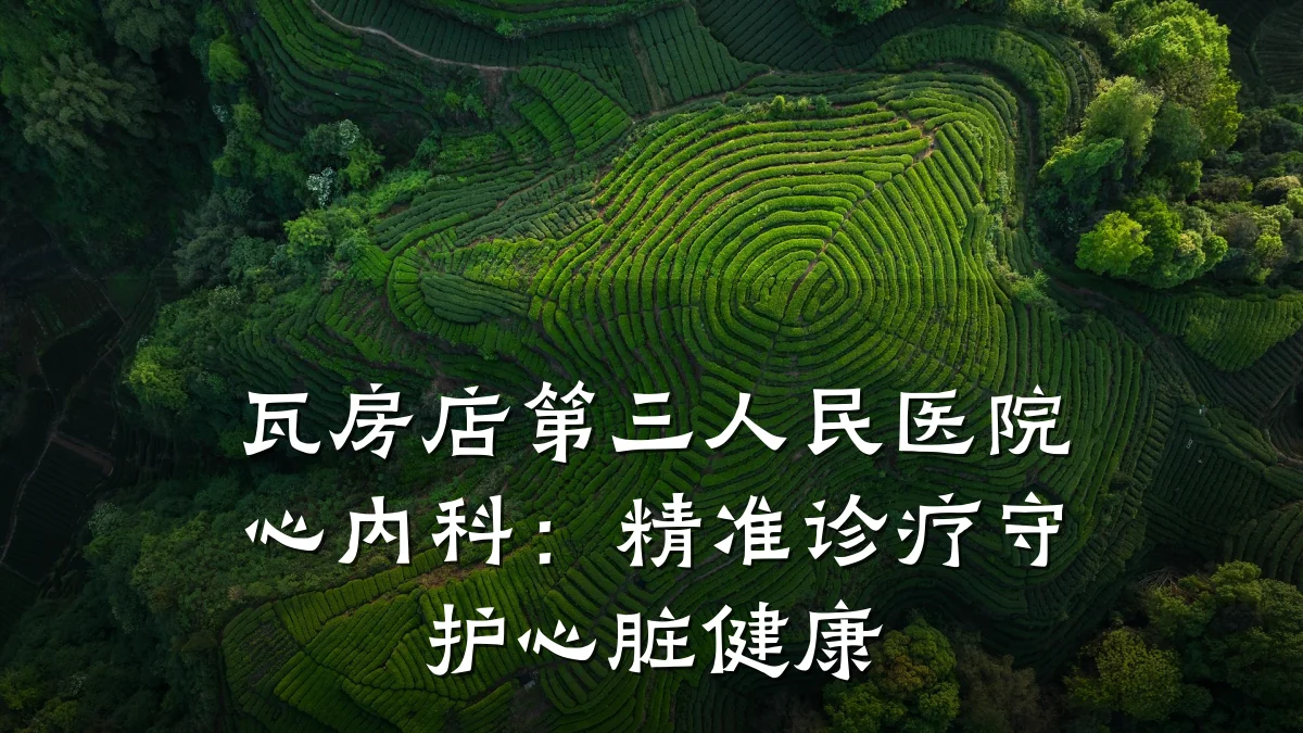 瓦房店第三人民医院心内科：精准诊疗守护心脏健康