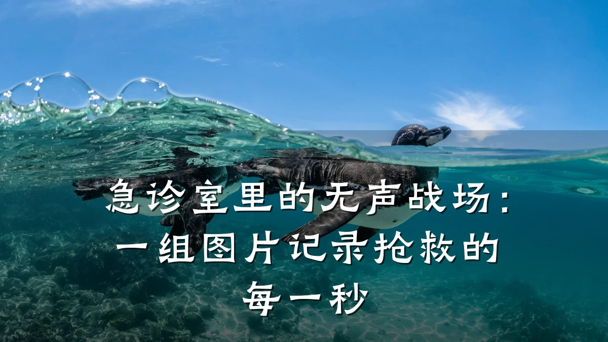 急诊室里的无声战场:一组图片记录抢救的每一秒