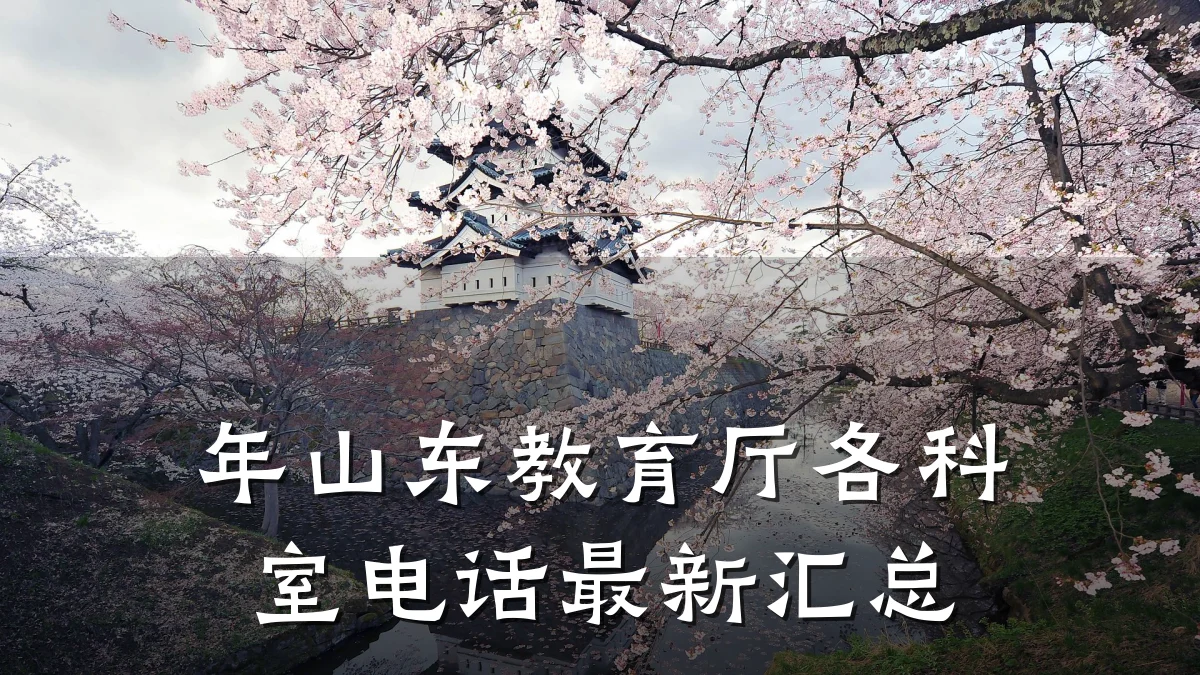年山东教育厅各科室电话最新汇总