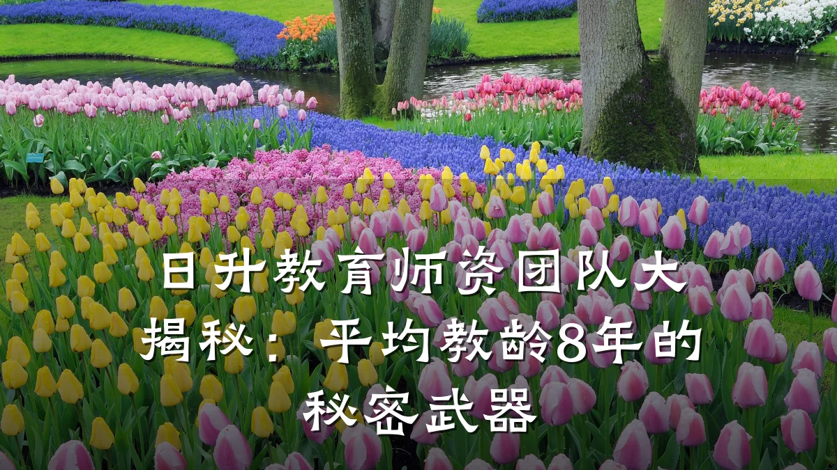 日升教育师资团队大揭秘：平均教龄8年的秘密武器