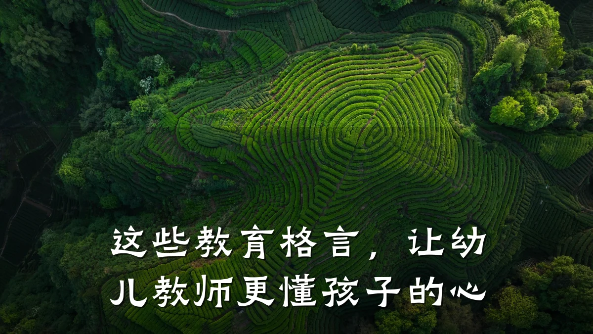 这些教育格言，让幼儿教师更懂孩子的心