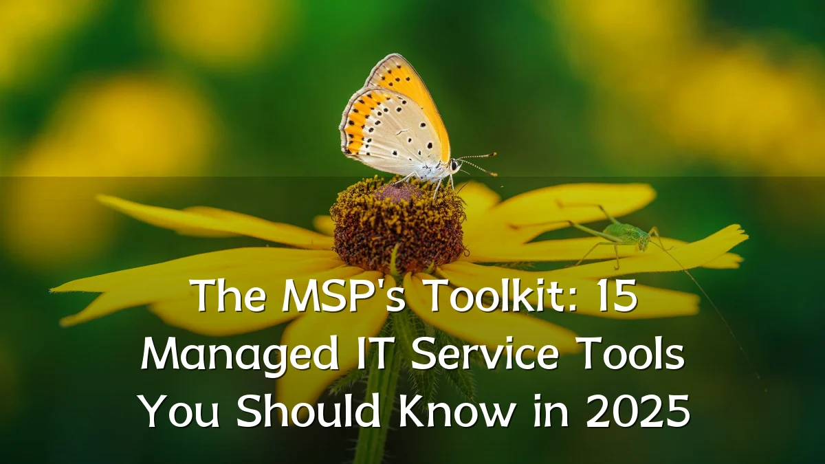 The MSP's Toolkit: 15 Managed IT Service Tools You Should Know in 2025