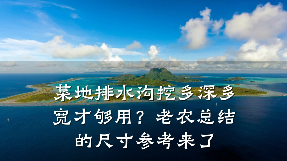 菜地排水沟挖多深多宽才够用?老农总结的尺寸参考来了